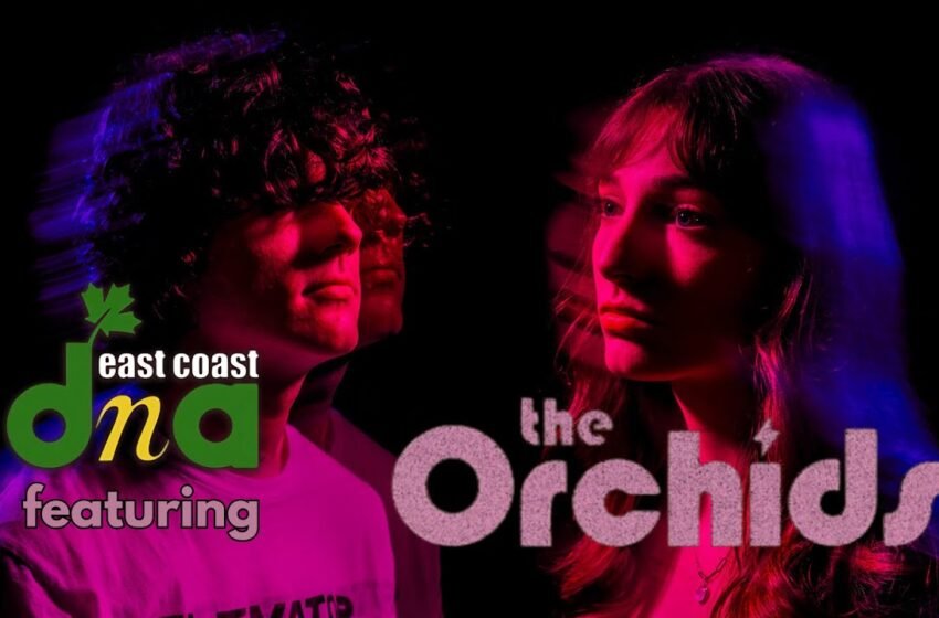  The Orchids Interview: Teenage Punk Duo Drops Debut Album & Plays Charity Show