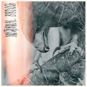 Author & Punisher Return with 'Nocturnal Birding', First Single "Titanis" Out Now