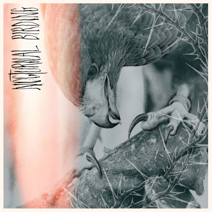 Author & Punisher Return with 'Nocturnal Birding', First Single "Titanis" Out Now