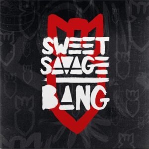 New Wave Of British Heavy Metal Legends SWEET SAVAGE Release New Single 'The Chosen One'