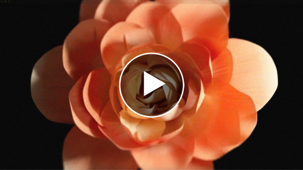 In a Distracted World, Ansera Makes the Case for Awe