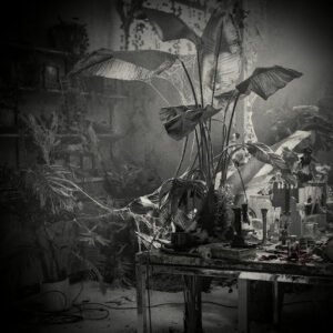2ŁØT Let Ambiguity Lead the Way on “I Hurt Myself Again”