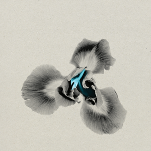 2ŁØT Preview RE/SOLVE With “Iris,” a Funk-Soul Collaboration That Keeps Its Feet on the Ground