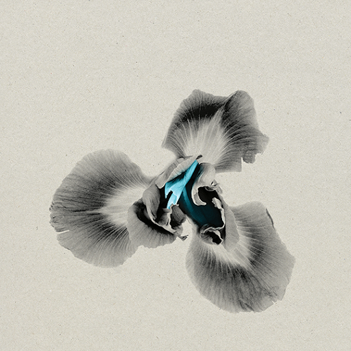 2ŁØT Preview RE/SOLVE With “Iris,” a Funk-Soul Collaboration That Keeps Its Feet on the Ground