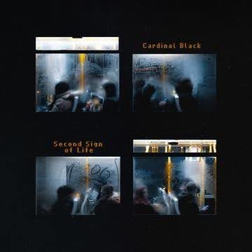 Cardinal Black Give a Decade-Old Song a New Beginning on “Saving Grace”